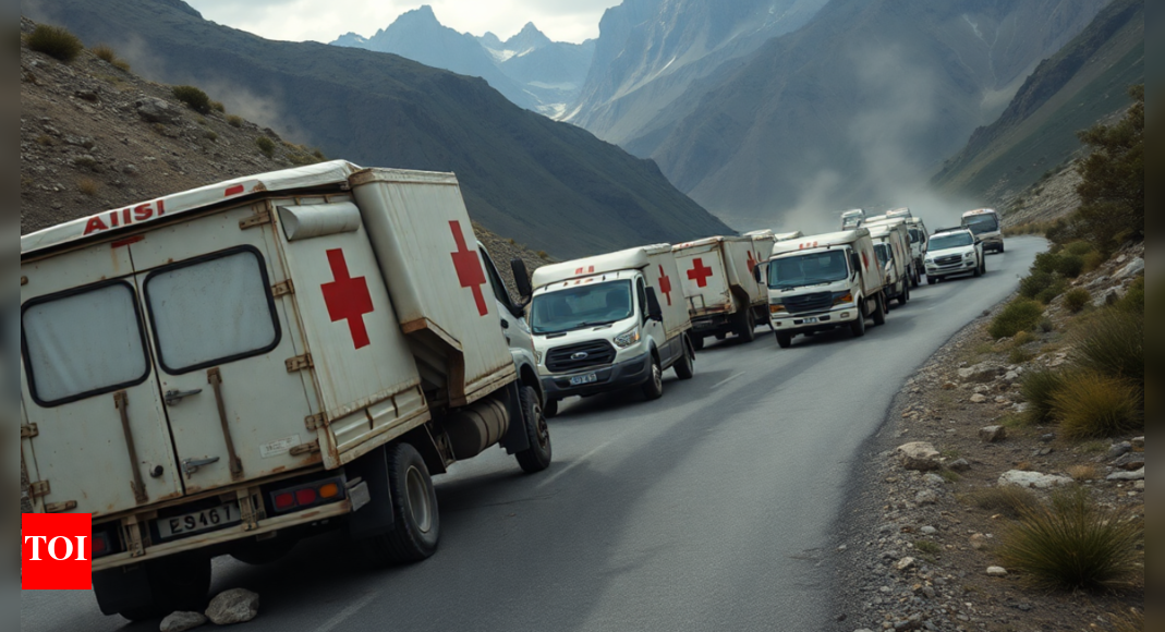 Gunmen ambush Pakistan aid convoy despite sectarian truce