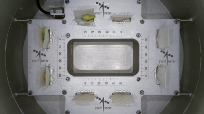 Life sprouts in space: Isro successfully germinates cowpea seeds in just four days under microgravity conditions