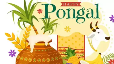 Pongal: Tamil Nadu govt declares one more holiday