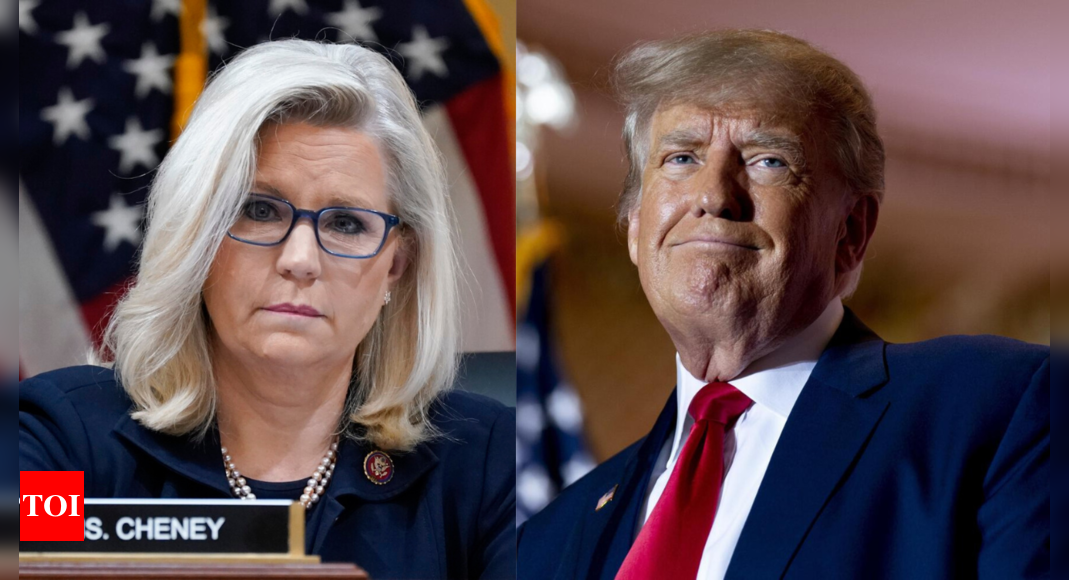 ‘Donald, this is not the Soviet Union’: Liz Cheney responds to Trump’s ‘fake medal’ remarks – Times of India