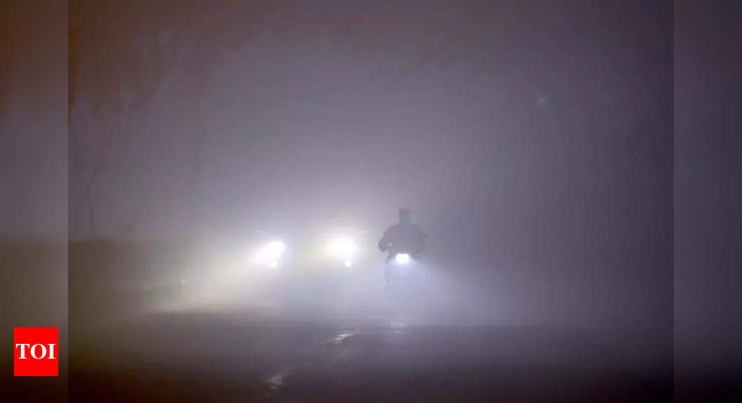 Season’s worst fog envelops Delhi; IMD predicts light showers ahead