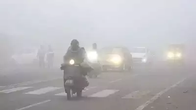 Zero visibility at 5 Punjab, Haryana cities; plains colder than Shimla