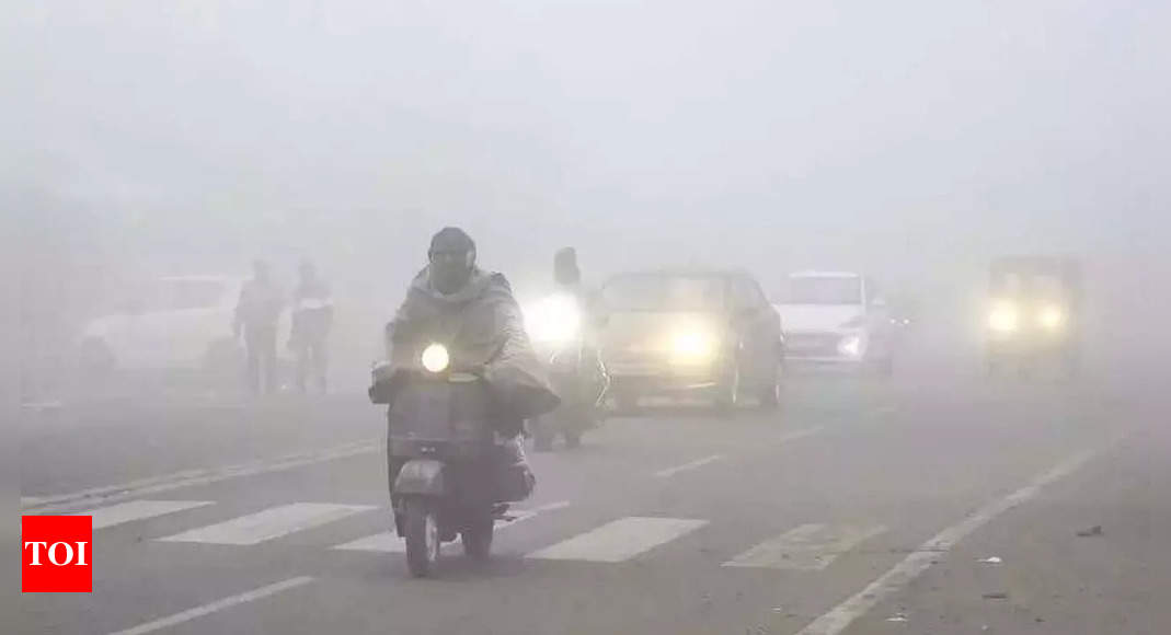 Zero visibility at 5 Punjab, Haryana cities; plains colder than Shimla