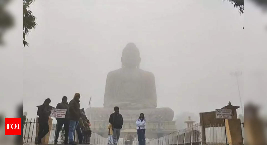 Bihar trains delayed by dense fog for hours