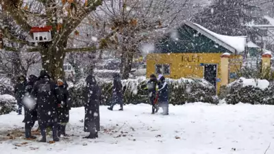 Fresh snowfall in Srinagar, parts of Kashmir; mercury below freezing point