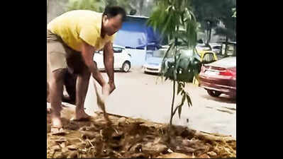 Kamothe Couple Leads Green Revolution: Digging Water Basins to Save Local Trees