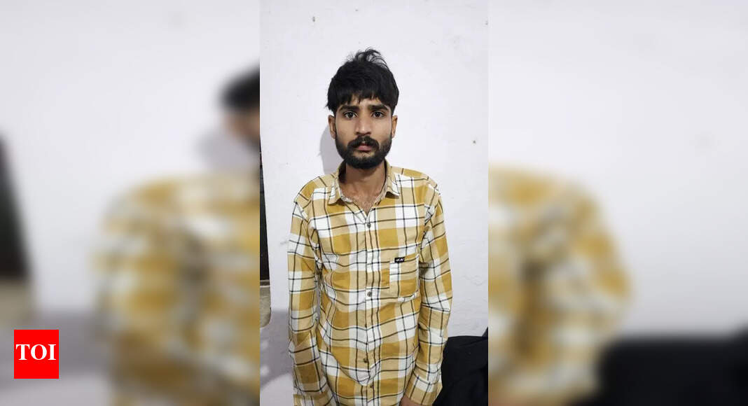 Man stabs infant son, wife to death, arrested | Jaipur News - The Times ...