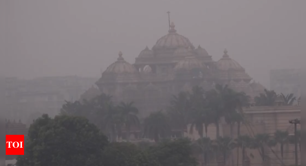 Delhi shivers as mercury drops; IMD predicts 'cloudy sky with light rainfall', train services hit