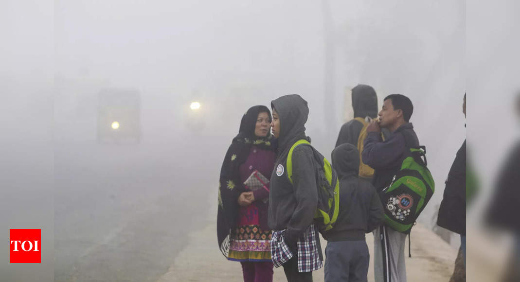 Patna schools closed till Jan 11 due to cold-wave: Check official notice here