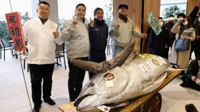 Japan: Tuna 'as fat as a cow' sells for $1.3 million