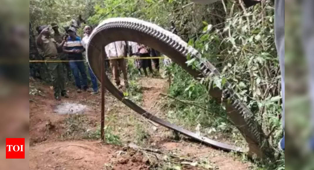 Viral: 500 kg object from space crashes into Kenyan village, officials investigate