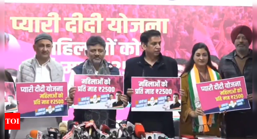 Delhi polls: Cong promises Rs 2,500 per month to women under 'Pyari Didi Yojana'