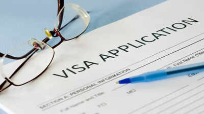 India introduces two new visa categories; find out all details and who can apply