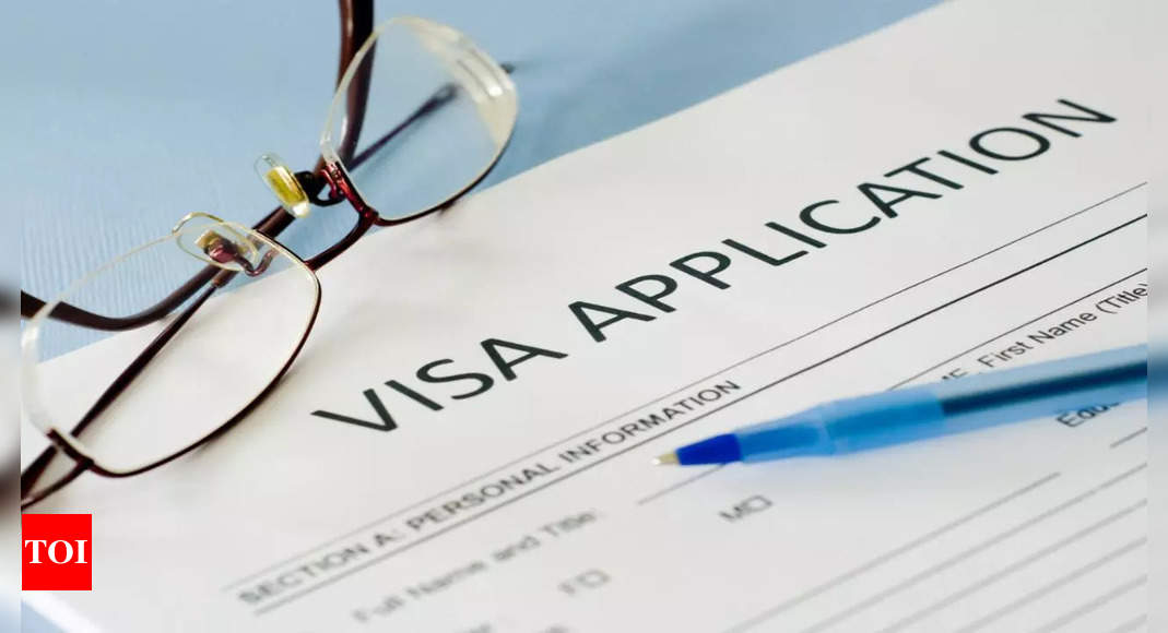 India introduces two new visa categories; find out all details and who can apply