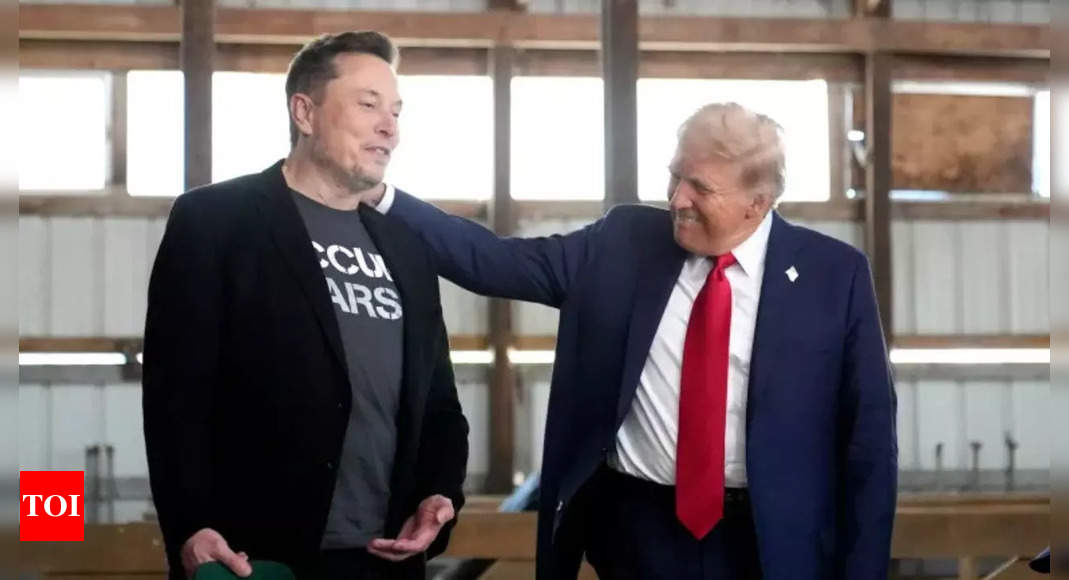 'Had Trump not won ... ': Elon Musk's bold claim on 2024 US election