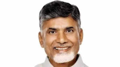 'Had your parents also thought like that ...': Andhra Pradesh CM Naidu again rakes up declining birthrates issue