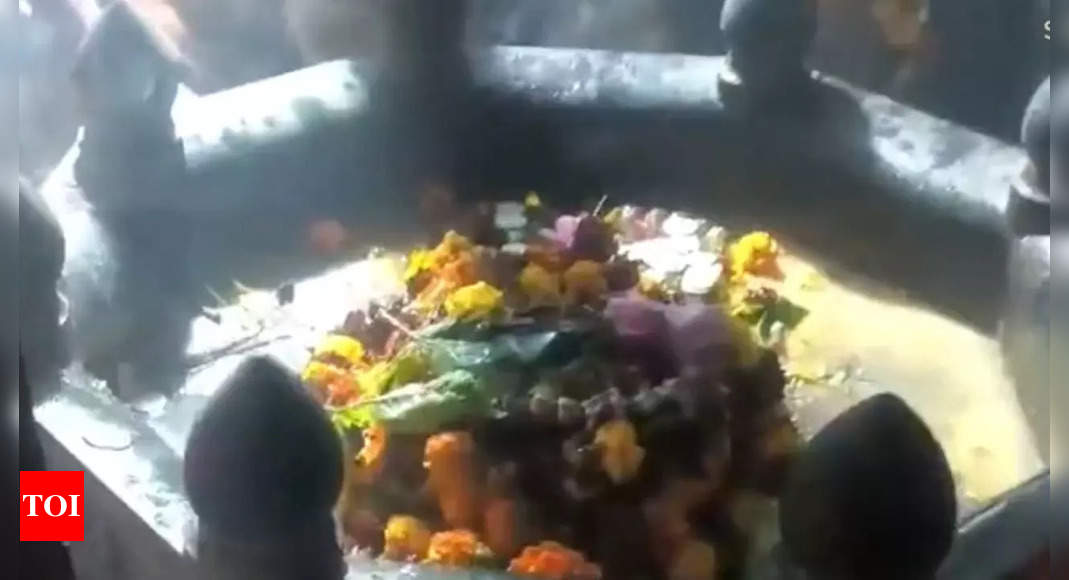 500-year-old Shiva temple unearthed at former garbage dump in this city