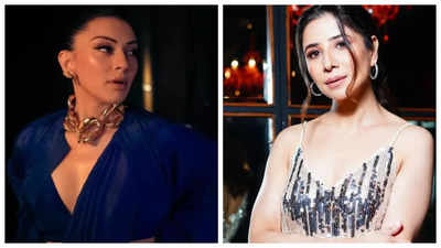 Muskan Nancy James files FIR against sister-in-law Hansika Motwani's family over domestic violence; shares cryptic message 'Beti ko ghar ki Laxmi maane'