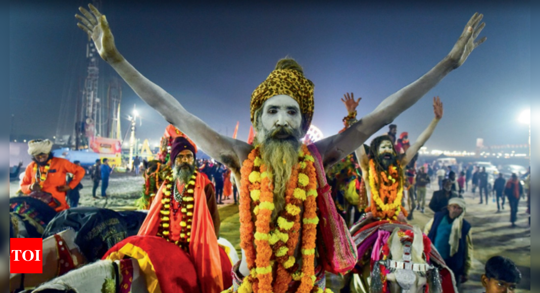 Kumbh Mela 2025: Multilingual signages and visual transformations