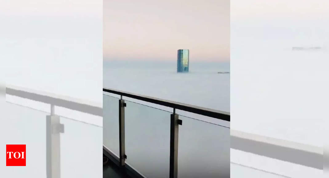 Gurgaon disappears in a foggy winter as resident’s balcony view goes viral; check social media reactions