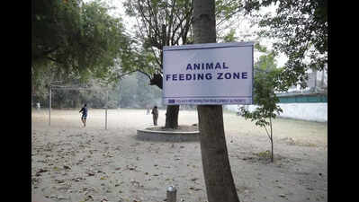 KMDA marks 4 spots to feed strays at Lake