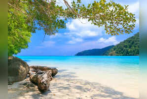 8 tropical holidays that are perfect for those who want to escape the cold
