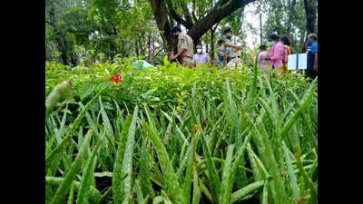 Medicinal plant growers, ayurveda manufacturers exchange ideas