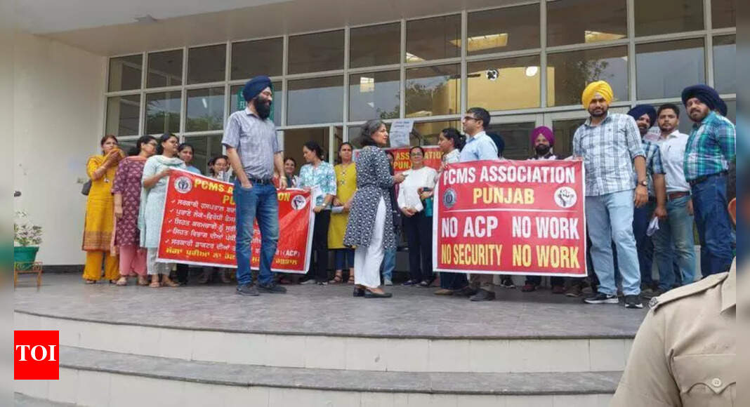 Docs, Pb ministers meet, but strike call stays | Chandigarh News - The ...