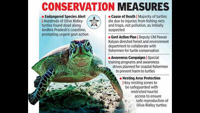 Govt initiates efforts to conserve endangered Olive Ridley turtles