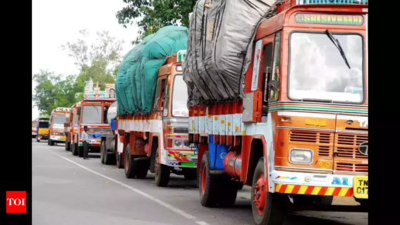 Truckers see Maha Kumbh business surge