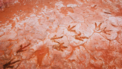 166-million-year-old dinosaur highway unearthed in England