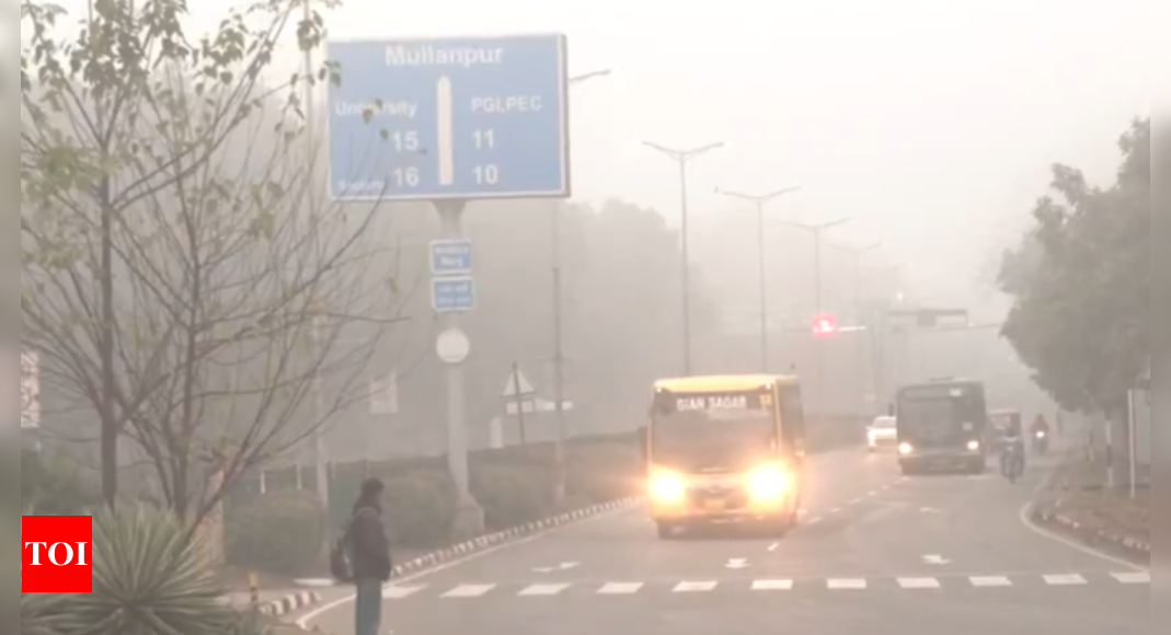 Dense fog, cold wave to grip Punjab and Haryana for two more days