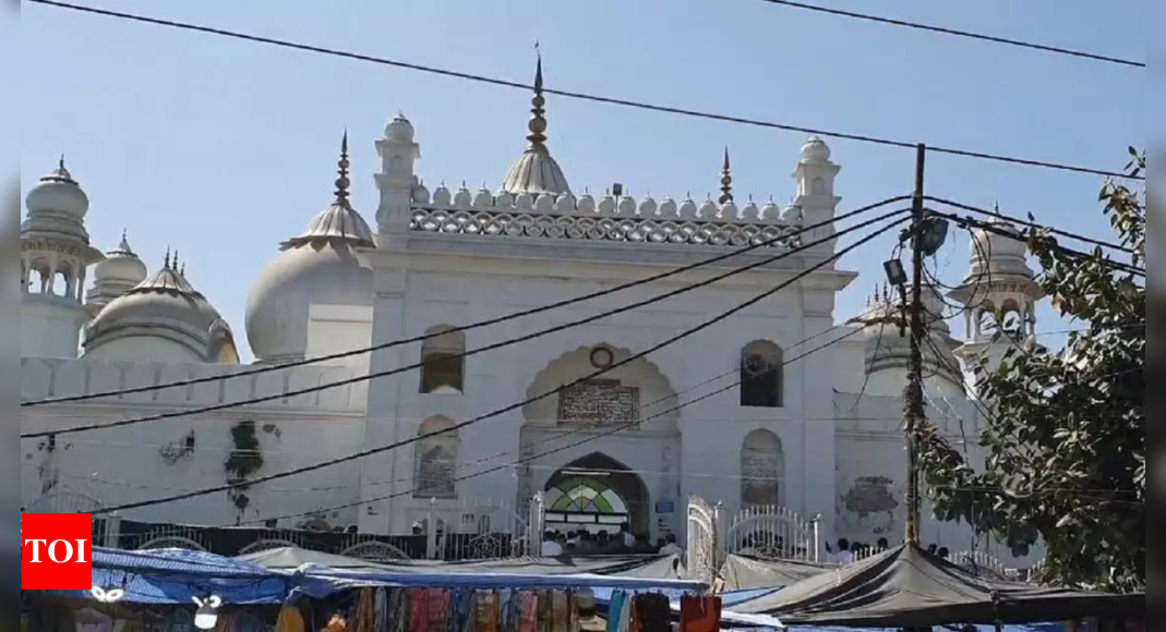 Aligarh's Jama Masjid built on site of ancient temples, claims RTI ...