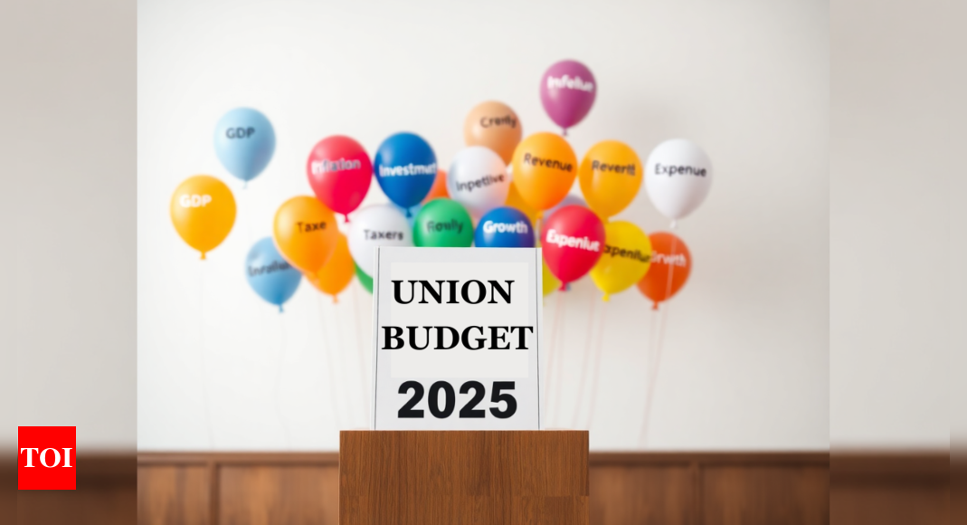 Personal tax reforms, raised exemptions and more expected in 2025 budget: EY