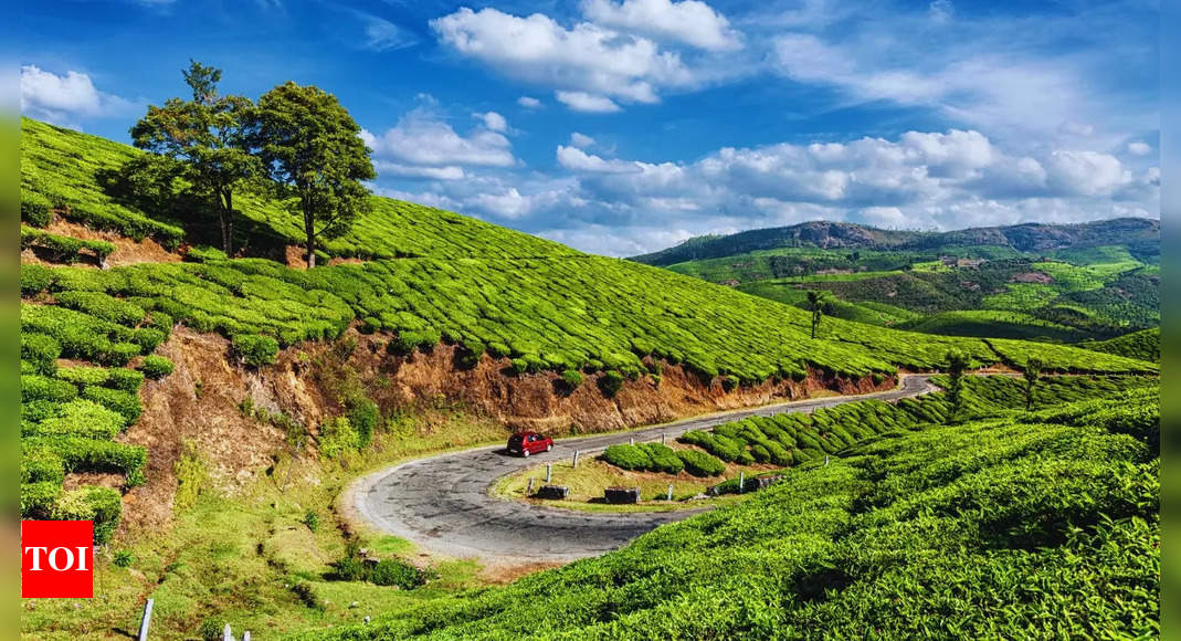 5 eco-hotspots in India for the responsible traveller