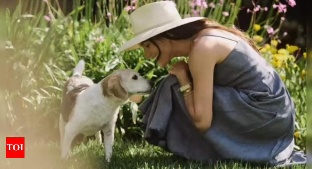 'He was the best': Meghan Markle mourns death of beloved rescue beagle, Guy