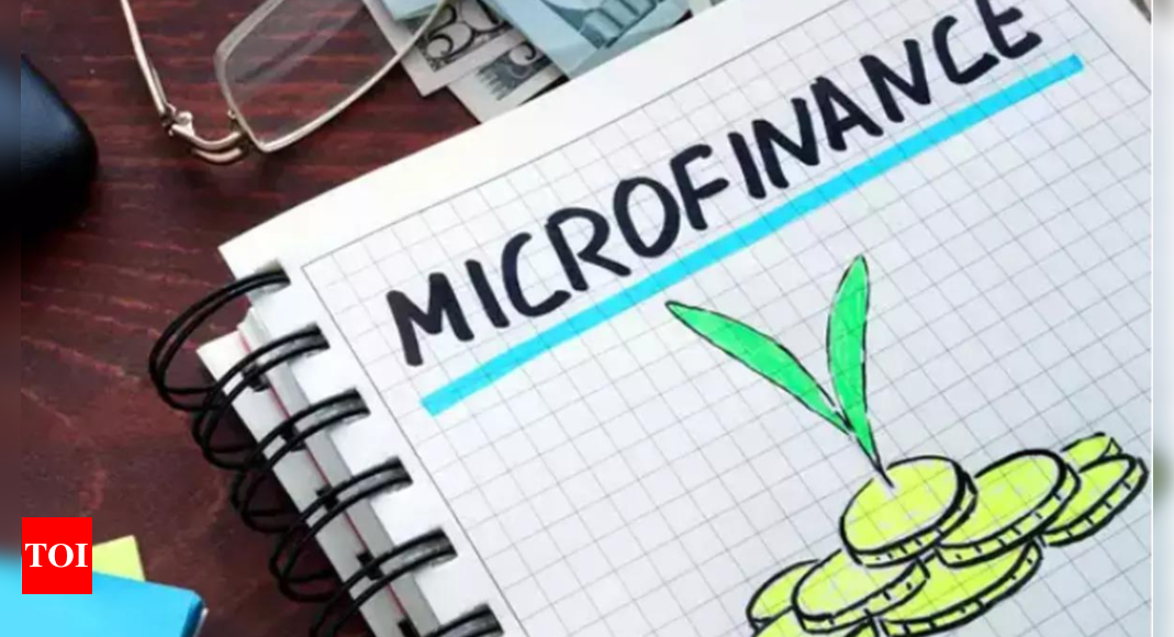 Microfin business shrinks 4% in a quarter as defaults double in a year