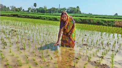 i-DEATE, i-NNOVATE, i-MPLEMENT: Success stories from rural West Bengal on solar powered organic farming, lending, millet cultivation