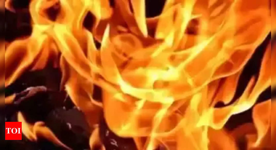 2 dead, 1 critical after fire breaks out in Madhya Pradesh's Damoh