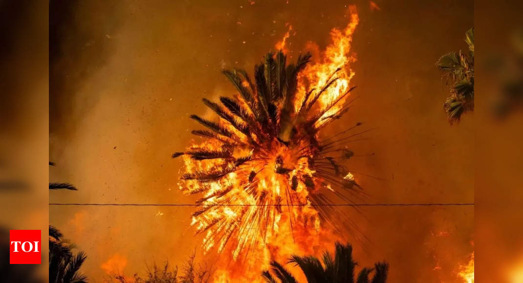 Indian-origin chef who cooked for Isha Ambani shares 'scary' pictures of LA wildfires on social media