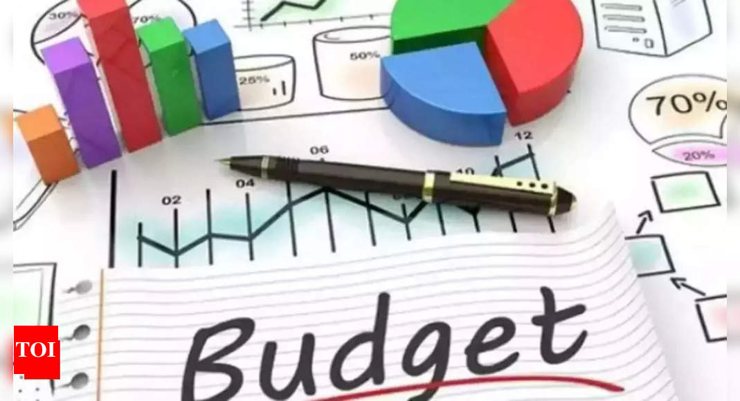 Run-up to Budget 2025: Need for some deduction-related relief in new regime