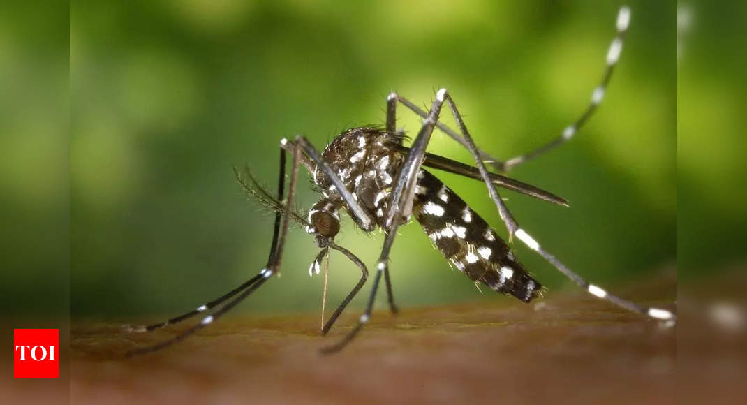 What is the science behind mosquito repellents and how do they work?