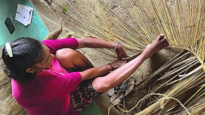 Traditional, sustainable Goan broom to make case for GI tag