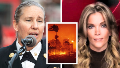 Megyn Kelly torches LA fire chief for prioritizing diversity over wildfires as city burns: 'Who gives a flying fig about who she sleeps with?'