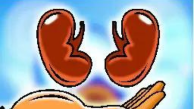 Can't stop organ donation without proof of 'sale': Kerala HC