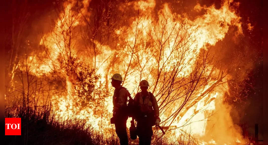 ‘Devastation is absolute’: Indian American resident on Palisades wildfires – Times of India