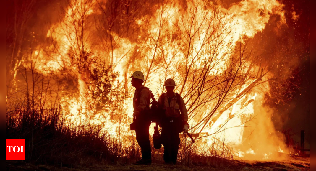 Los Angeles wildfires kill 10, destroy 10,000 structures