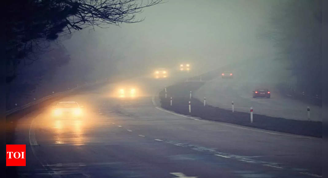 Dense fog alert: Zero visibility fog disrupts flights, trains, and traffic in Delhi