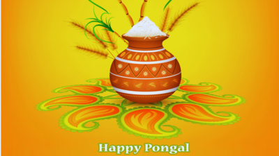 Happy Pongal 2026: Images, Quotes, Wishes, Messages, Cards, Greetings, Pictures and GIFs