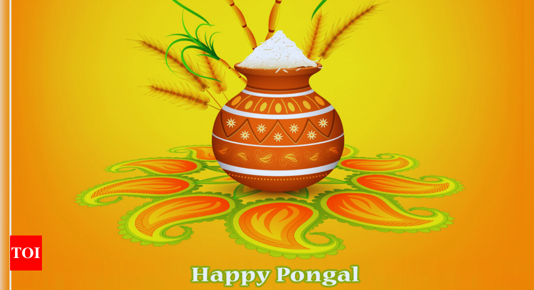 Happy Pongal 2025: Images, Quotes, Wishes, Messages, Cards, Greetings, Pictures and GIFs